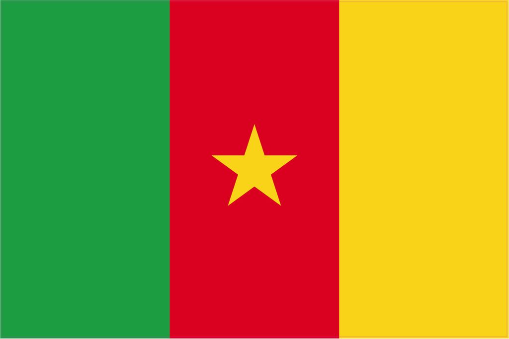 Kiwistar WANDTATTOO Sticker Fahne Flagge Aufkleber Kamerun 60 x 40cm - Dekoration für Kinderzimmer Schlafzimmer Wohnzimmer Küche Badezimmer