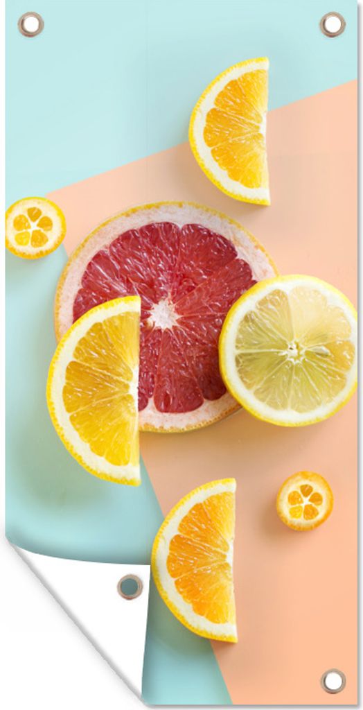 MuchoWow 30x60 cm Outdoor-Poster Gartendeko Sichtschutz Garten Poster für den Garten Zitrus - Zitrone - Pastell