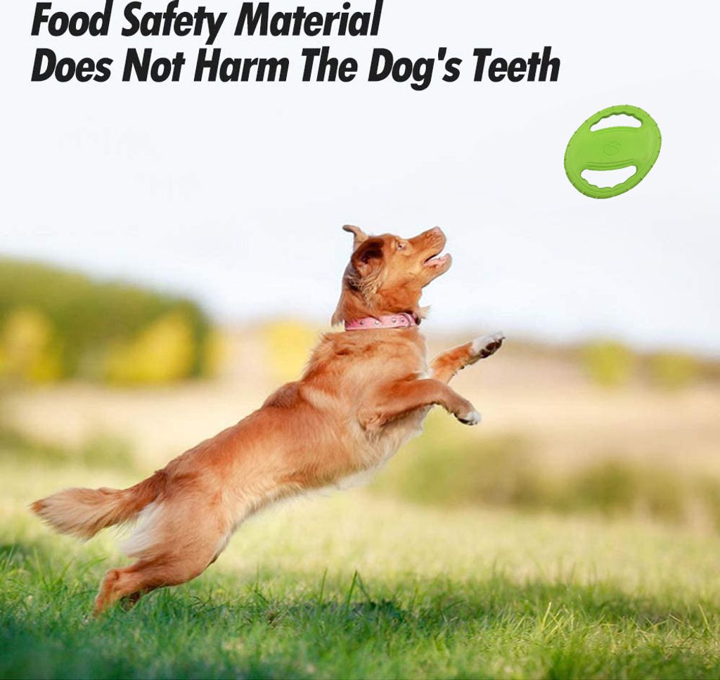Frisbee und wurfscheiben，Mittlere und große Hunde Produktbild 6