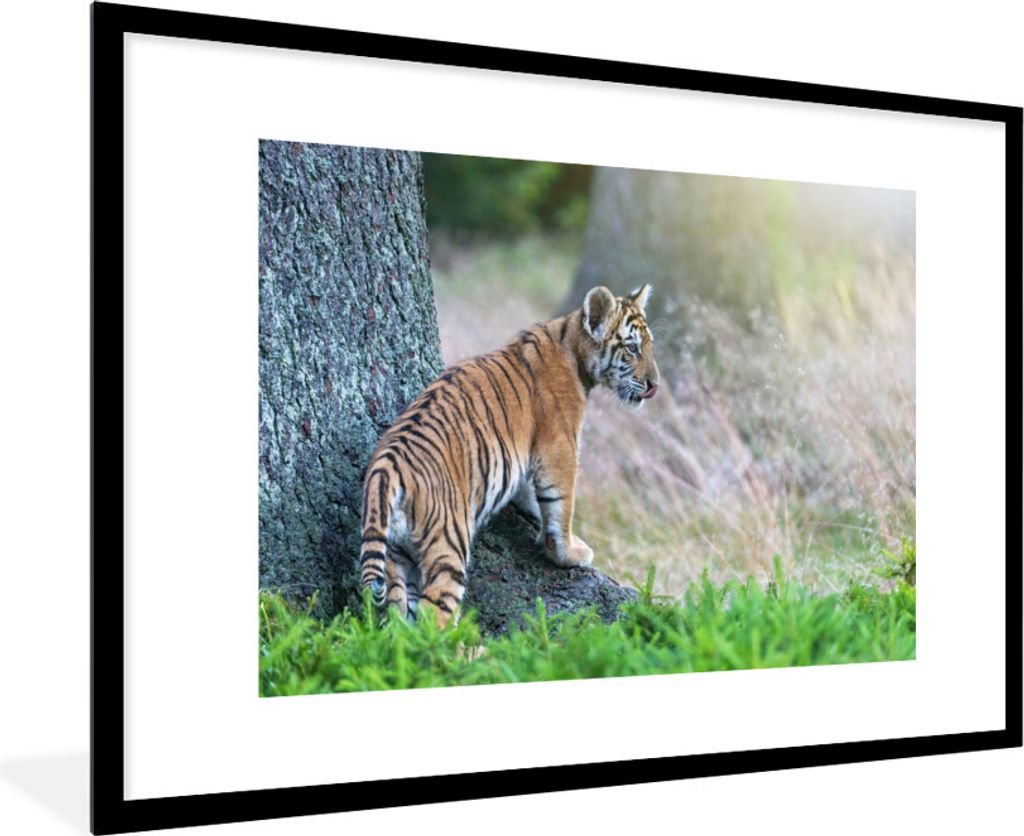 MuchoWow Gerahmtes Poster Tigerjunges im Wald 90x60 cm - Poster mit Schwarzem Bilderrahmen Wandposter Rahmen Foto Bilder - Wanddekoration - Fotos