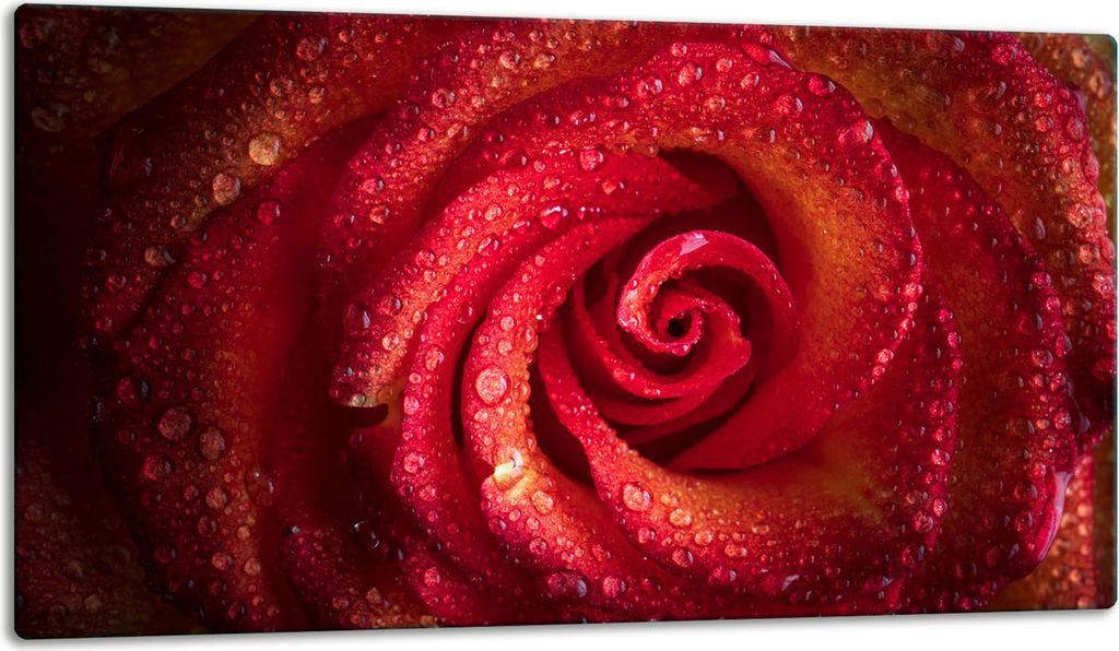 Glasschneidebrett Herdabdeckplatte Glaskeramikkochfeld Universal 52x30 cm Rose