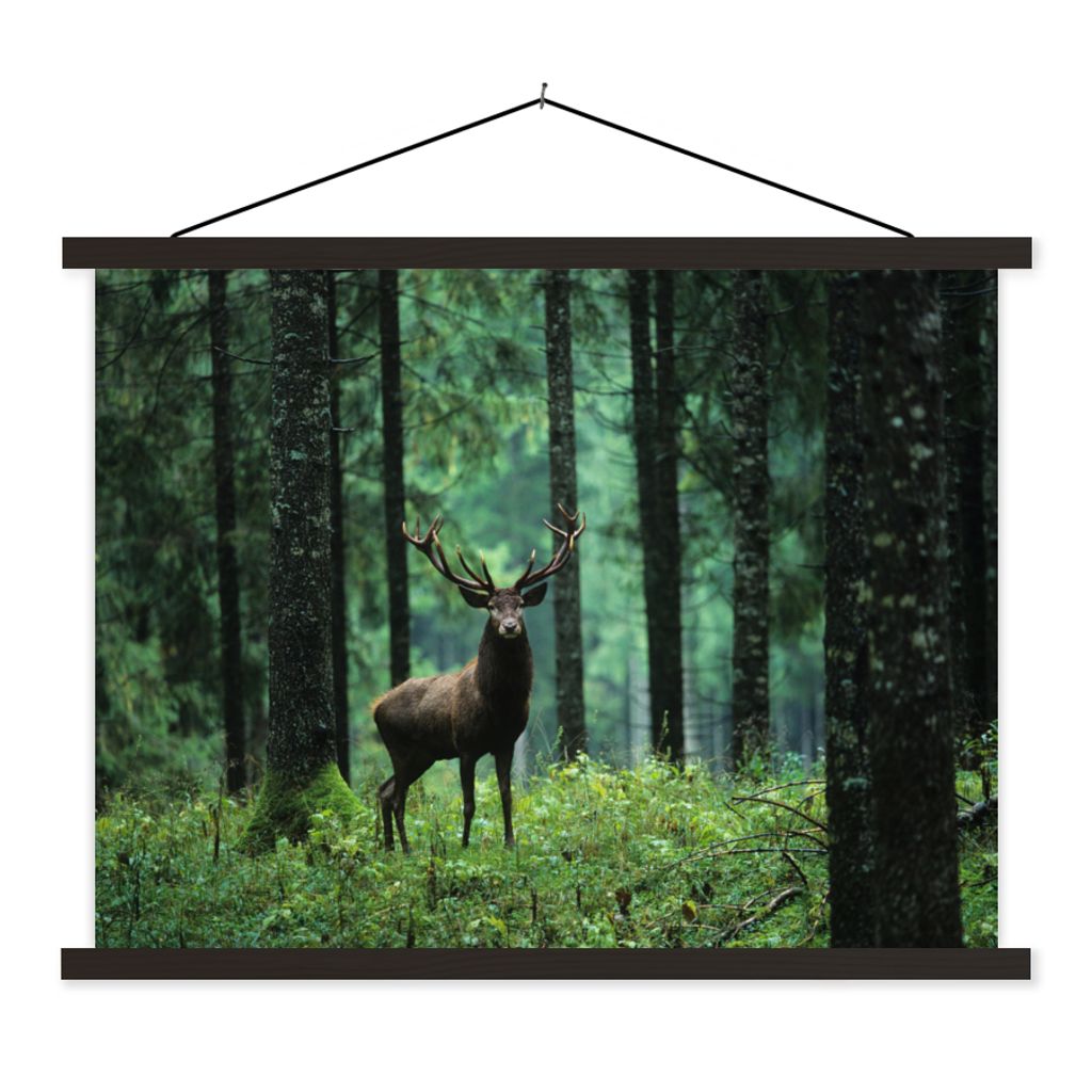 MuchoWow Textilposter Hirsche - Wald - Bäume - Tiere - Natur 60x45 cm mit schwarzem Rahmen - Poster Schlafzimmer