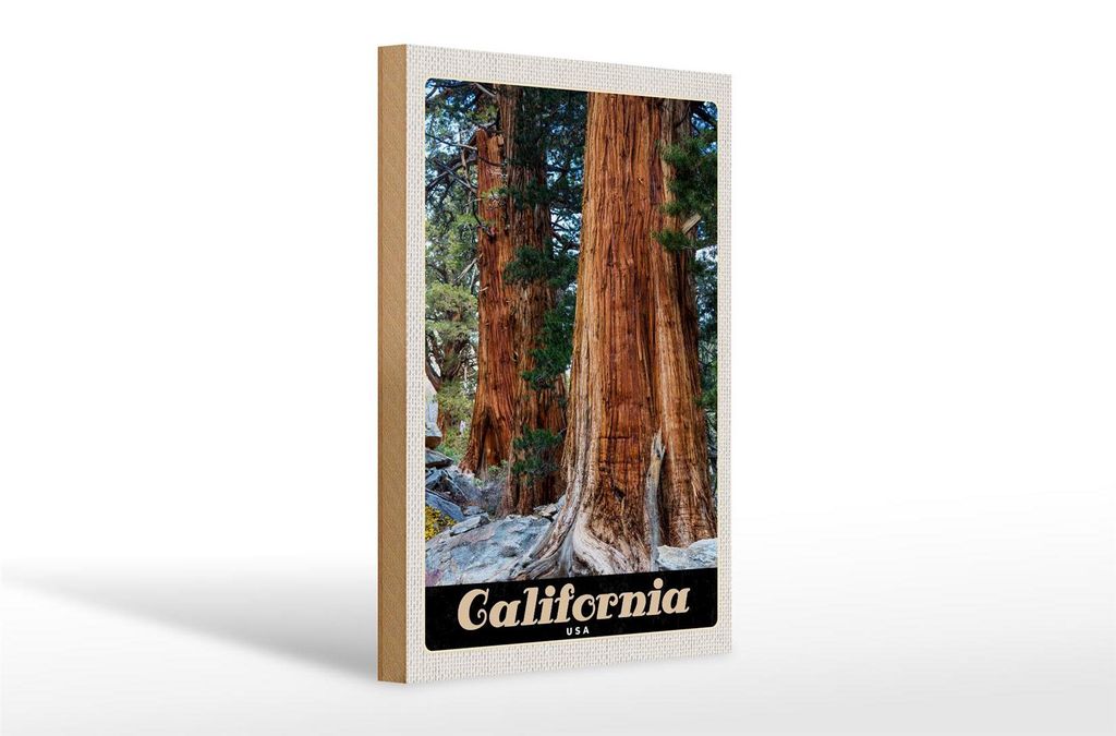 Holzschild Reise 20x30cm California Amerika Natur Wald Bäume