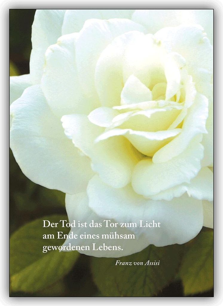 4x Schöne Trauerkarte mit Rose: Der Tod ist das Tor zum Licht...
