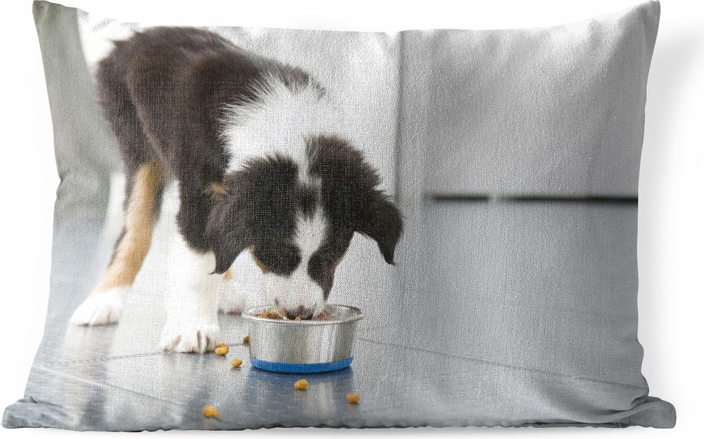 MuchoWow Outdoor Kissen - Ein Border Collie frisst - 50x30 cm - Wetterfest - Lounge Kissen - Sofa kissen - Wohnzimmer Dekoration