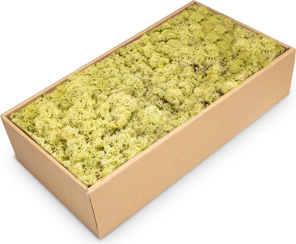 Islandmoos 500g in 30 Farben – Konserviertes Rentiermoos Natur, Farbe:Altgrün