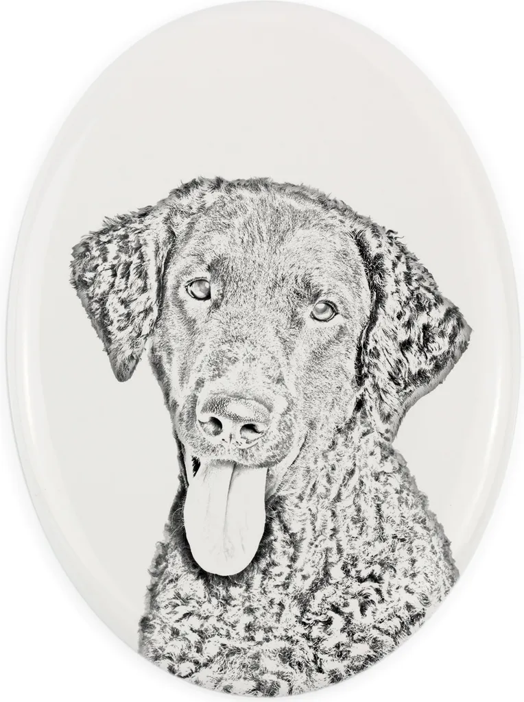 Targa Commemorativa Curly Coated Retriever Art-Dog | Lapide Personalizzata
