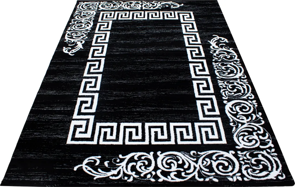 Tapis de Grand Salon 200x290 cm Idéal pour Grands Espaces de Vie Chic