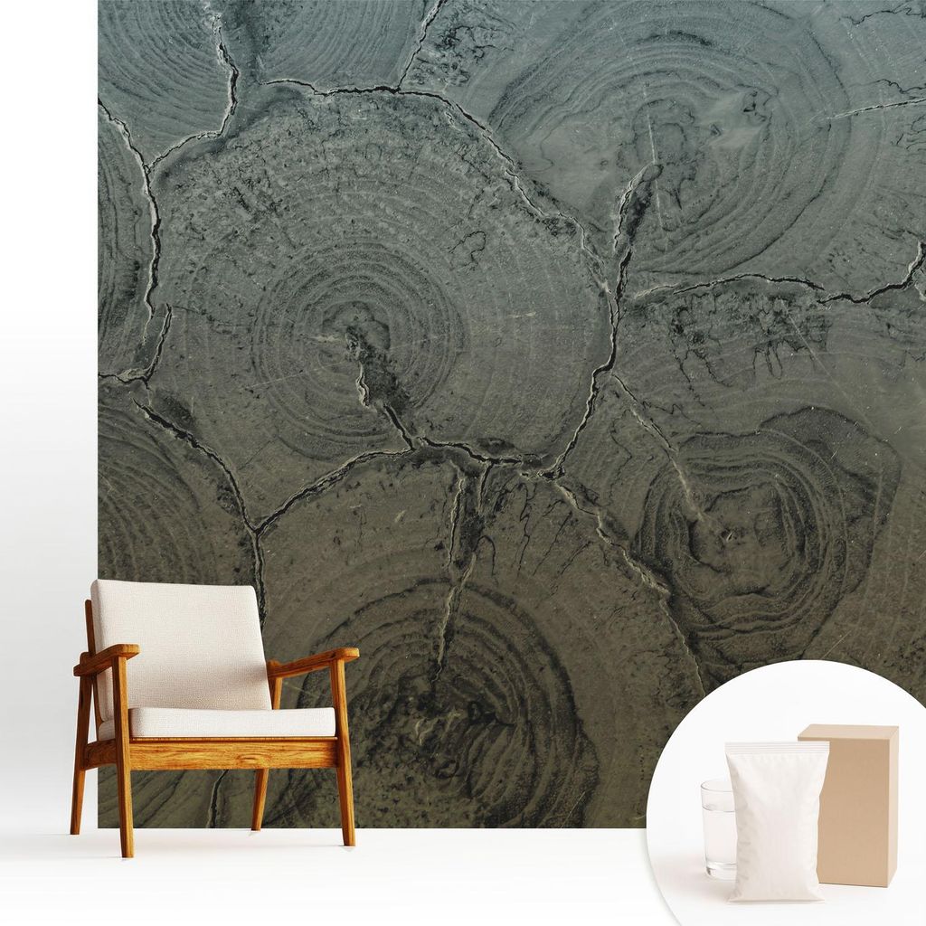 Fototapete - 250x250 cm - Tapete - Wandtapete - Wandbilder - Dekofolie - Tapete Folie - Wand - Dekoration - Wohnzimmer - Holzringe