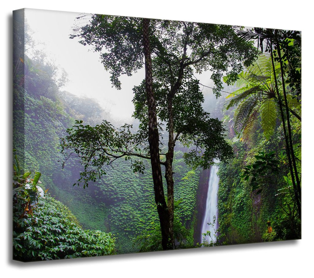 Leinwanddruck Natur Tropischer Wald 40x30 cm