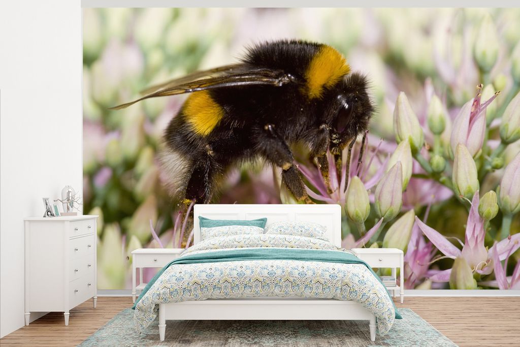 MuchoWow Fototapete für Wohnzimmer oder Schlafzimmer Wandtapete Vinyl Motivtapete Ein scharfes Foto einer Hummel, die zwischen den zartrosa Blü...