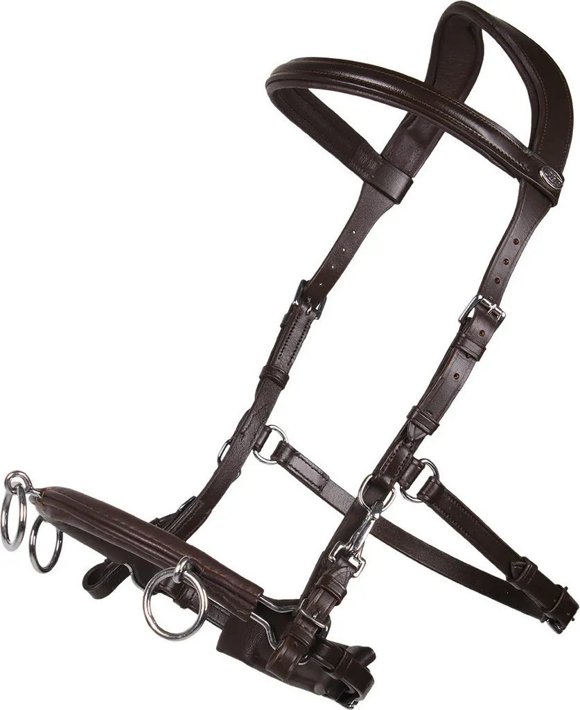 Acquista Capezza QHP Cuoio Marrone | Taglia Purosangue Prezzo Top
