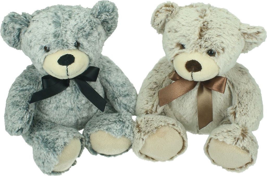 Two teddy bears sitting side-by-side against a white background.