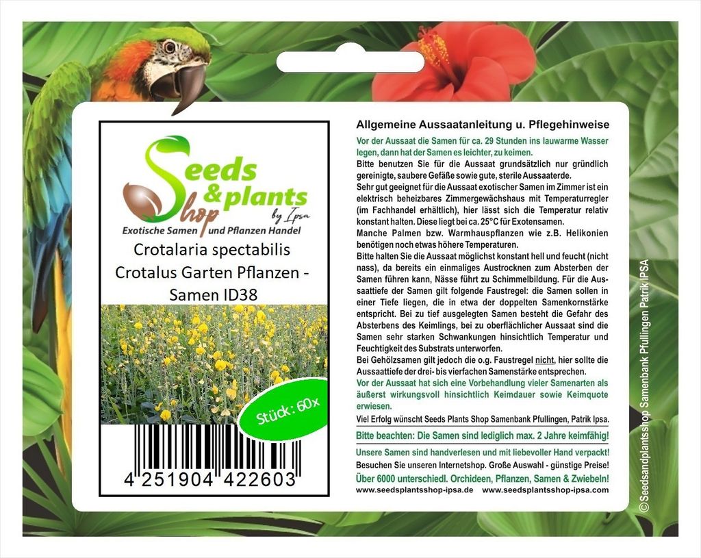 60x Crotalaria spectabilis Crotalus yellow Garten Pflanzen - Samen ID38