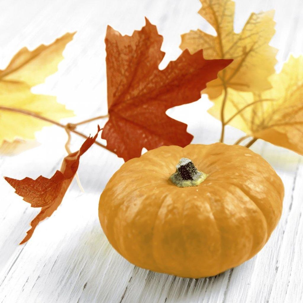 Servietten 33x33 cm - Pumpkin Leaf