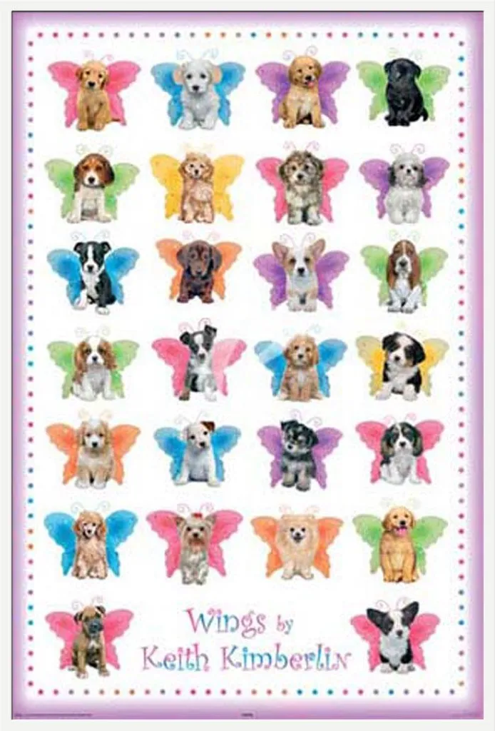 Affiche Keith Kimberlin avec Cadre Interchangeable Blanc et Acrylique