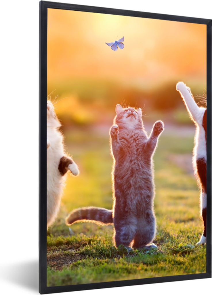 MuchoWow Gerahmtes Poster Katzen - Schmetterling - Sonnenuntergang - Gras - Natur 60x90 cm - Poster mit Schwarzem Bilderrahmen Wandposter Rahmen ...