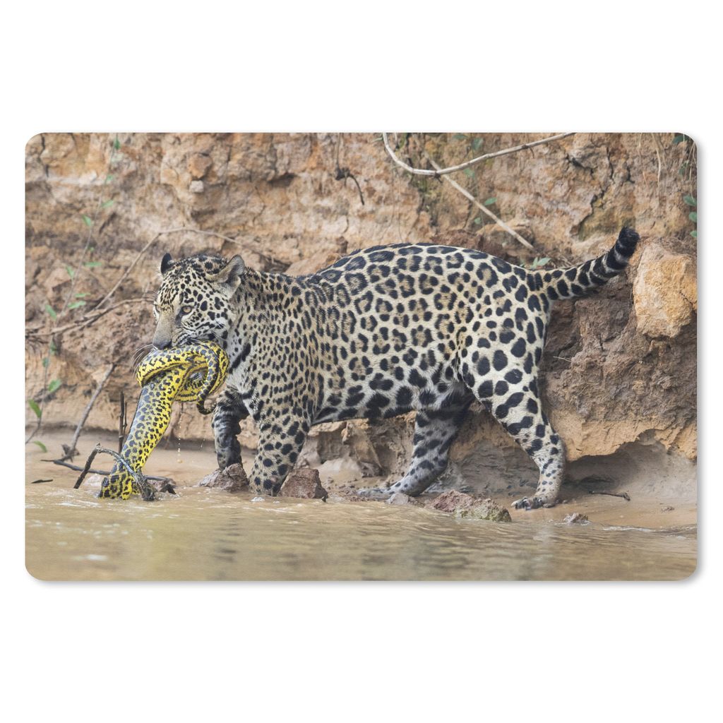 MuchoWow Mauspad Mousepad Jaguar - Schlange - Wasser 27x18 cm - Mousepads - Maus Mat - Pad - Mausunterlage - Büroartikel - Desk Matten