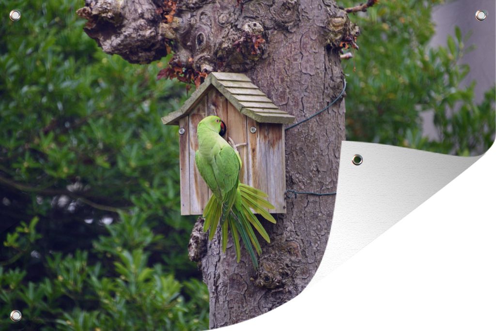 MuchoWow 120x80 cm Outdoor-Poster Gartendeko Sichtschutz Garten Poster für den Garten Ein Nymphensittich in einem Vogelhaus