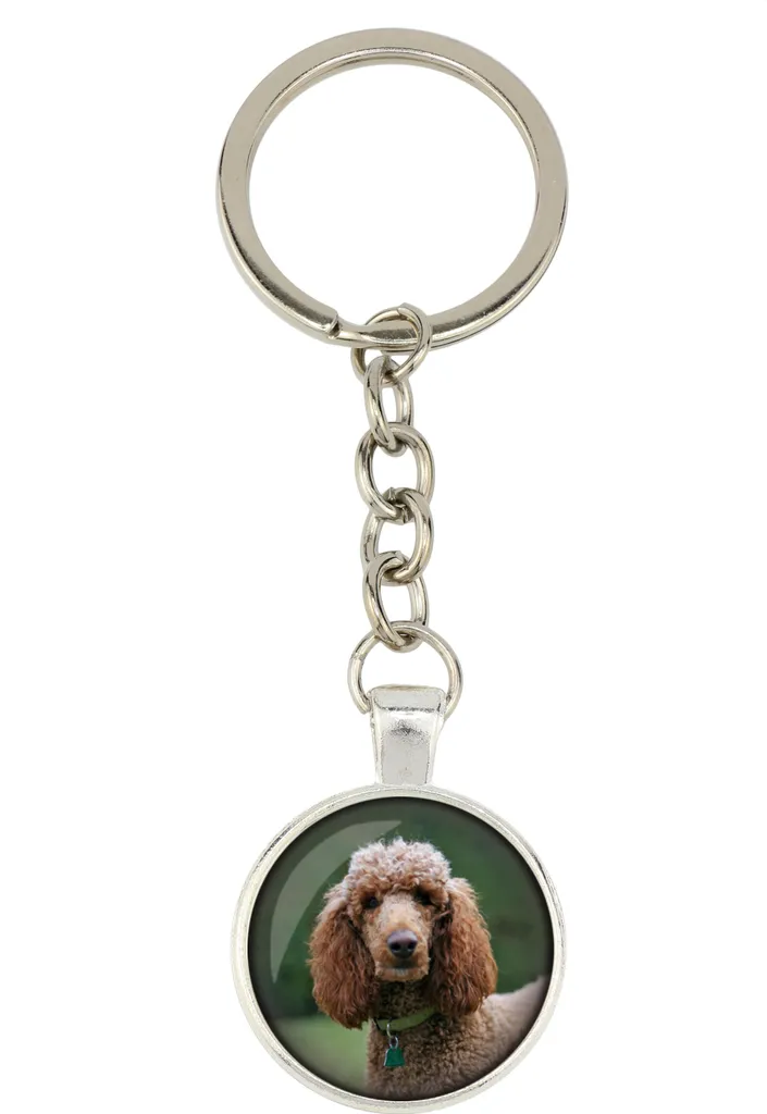AIRHSKWI Portachiavi a forma di cane francese, in pelle PU, con ciondolo a forma di cane, ornamento da appendere per chiavi dell'auto e borse, Gold-color, Acciaio legato/piuma/panno
