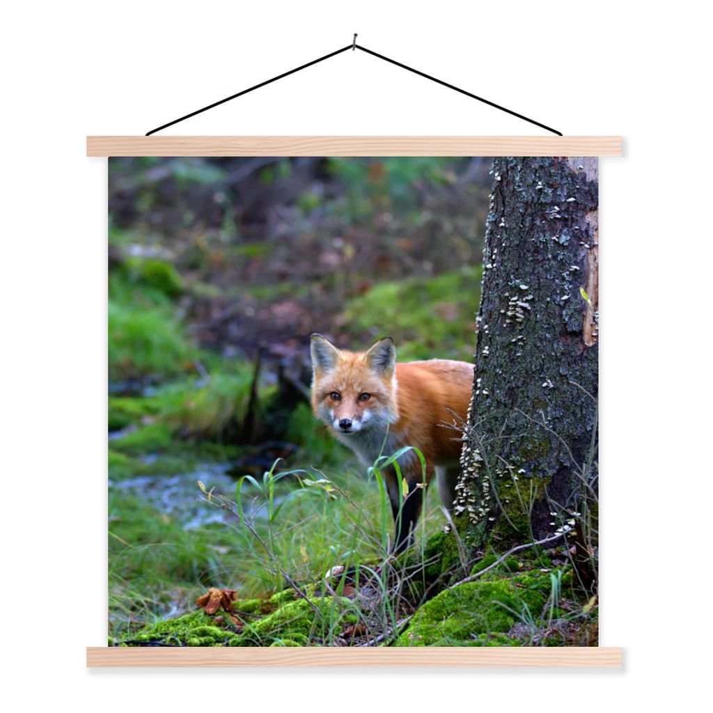 MuchoWow Textilposter Fuchs - Baum - Waldtier - Herbst 40x40 cm mit holzfarbenen Rahmen - Posterleiste