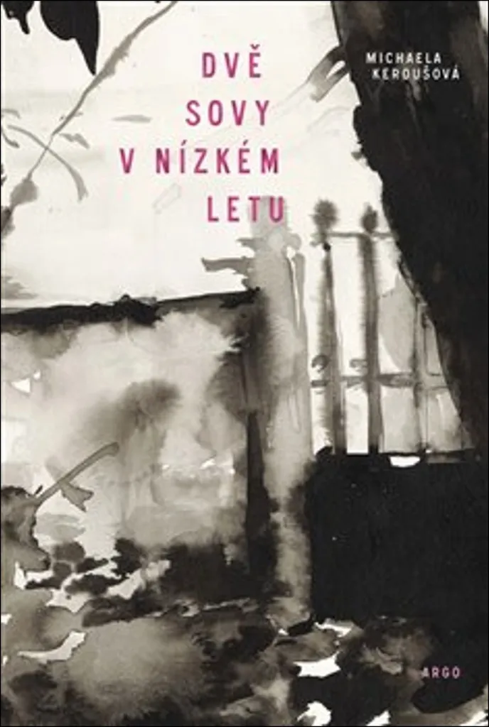 Dvě sovy v nízkém letu par Michaela Keroušová - Photographie d'Art Nature