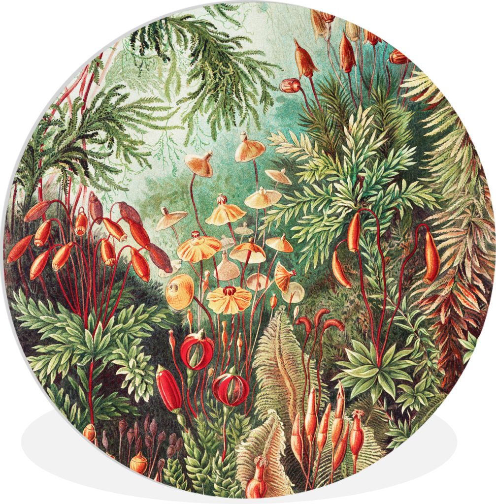 MuchoWow Rundes Wandbild - Runde Bilder Blumen - Kunst - Vintage - Natur - Botanisch Ø 30 cm Kreis Wanddekoration Kunststoff - Wandkreis - Wands...