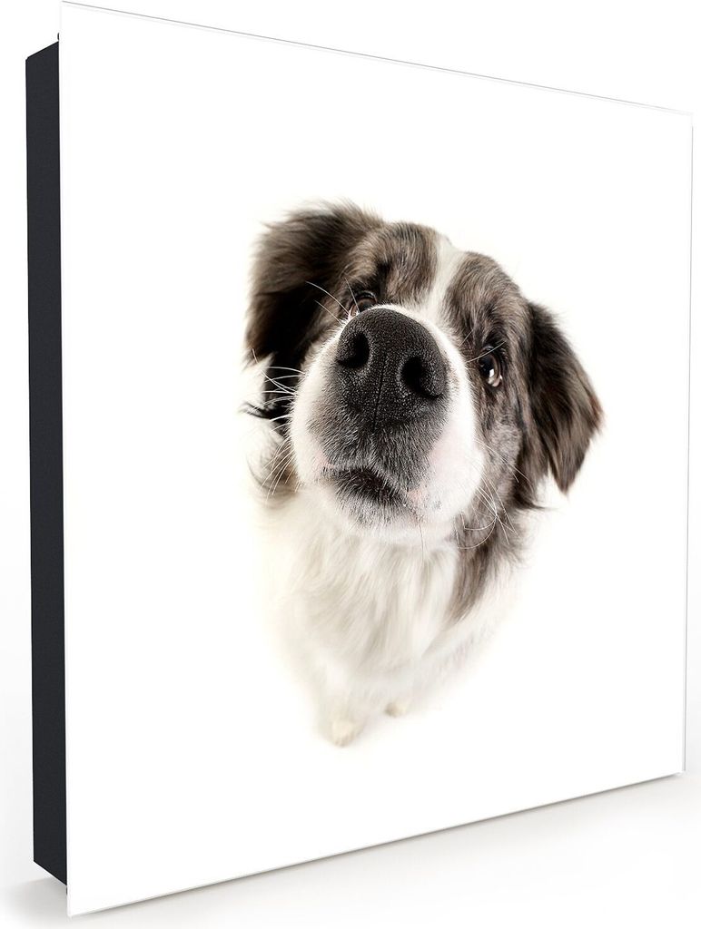 Nachbildung-Schlüsselkasten, Magnetpinnwand und Memoboard mit Glasfront Motiv Hundekopf