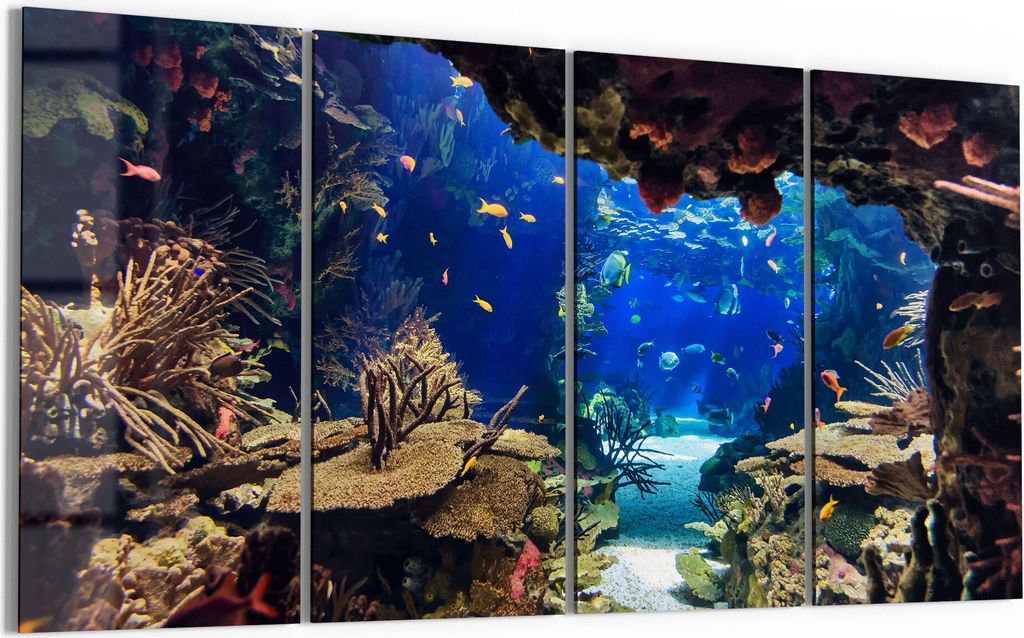 DEQORI Glasbild Echtglas 4x30x60 cm 'Exotisches Aquarium' Wandbilder XXL groß