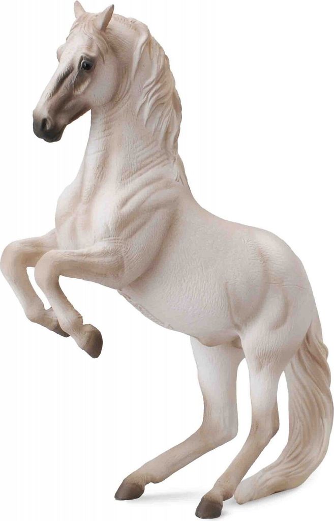 COLLECTA Lipizzanerhengst - (XL) Produktbild 