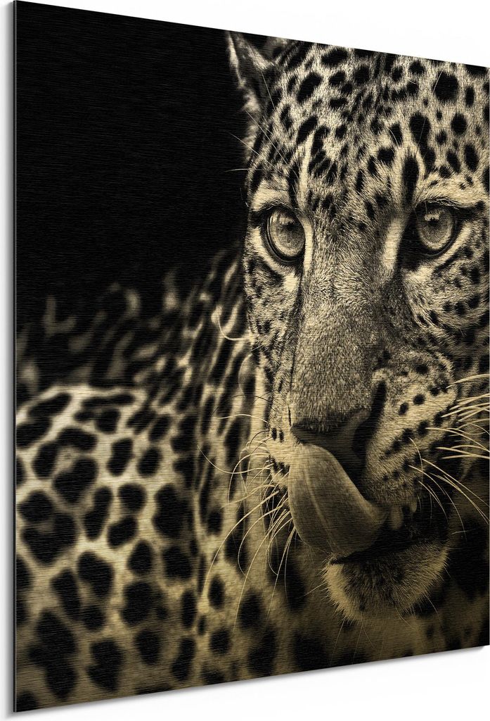 DEQORI Alu-Dibond Bild Gold 30x30 cm 'Der hungrige Blick' Wandbild Metall dünn Design