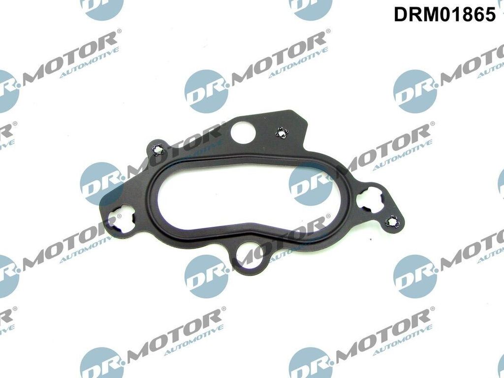 DR.MOTOR AUTOMOTIVE Dichtung Thermostatgehäuse Dichtung Thermostat DRM01865 für FORD Fiesta Mk6 Schrägheck (JA8, JR8)