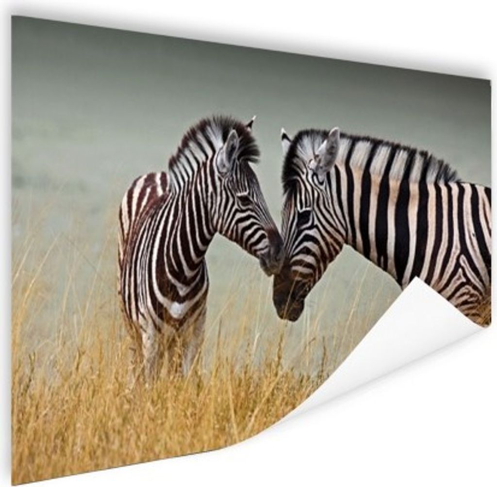 MuchoWow Poster Zebramutter und ihr Junges 120x80 cm - Bilder