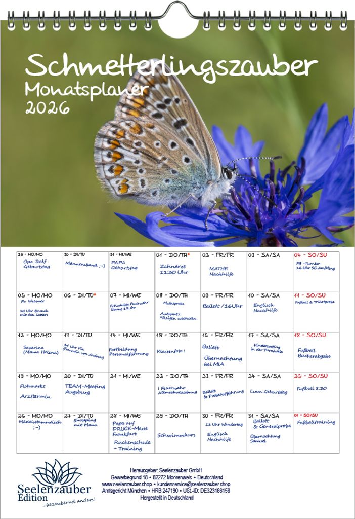 Schmetterlingszauber Planer DIN A4 Kalender für 2026 Schmetterling - Seelenzauber