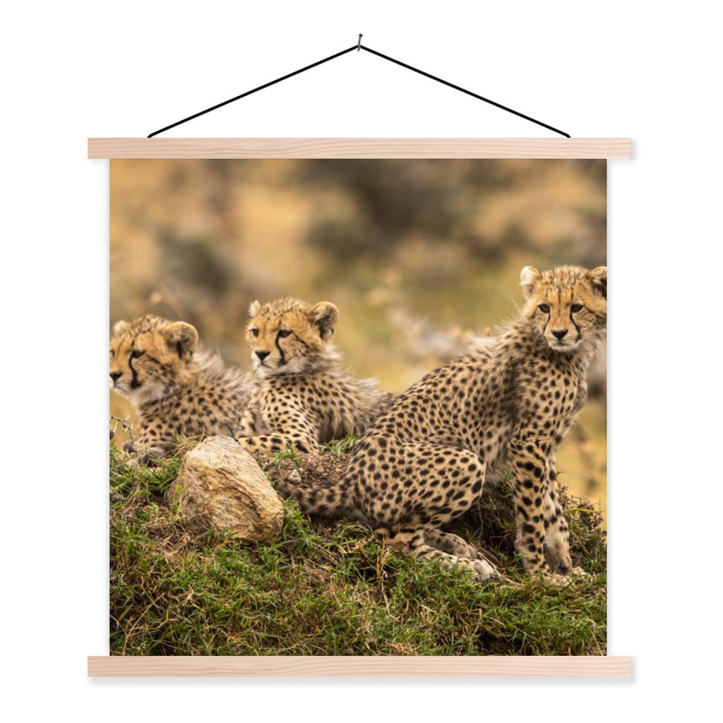 MuchoWow Textilposter Leopard - Wald - Tier 40x40 cm mit holzfarbenen Rahmen - Posterleiste