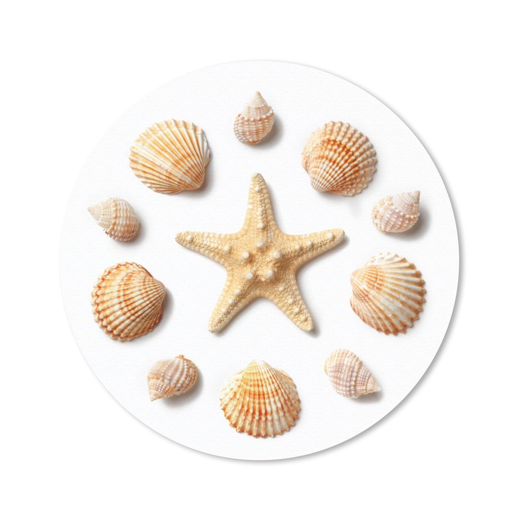MuchoWow® Mauspad Mousepad Muscheln - Seesterne - Muster Produktbild 