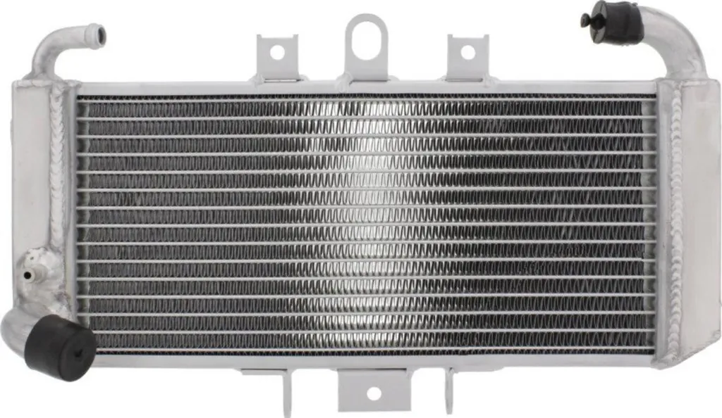 Refroidisseur d'eau moto JMP compatible avec Yamaha FZS 600 Fazer