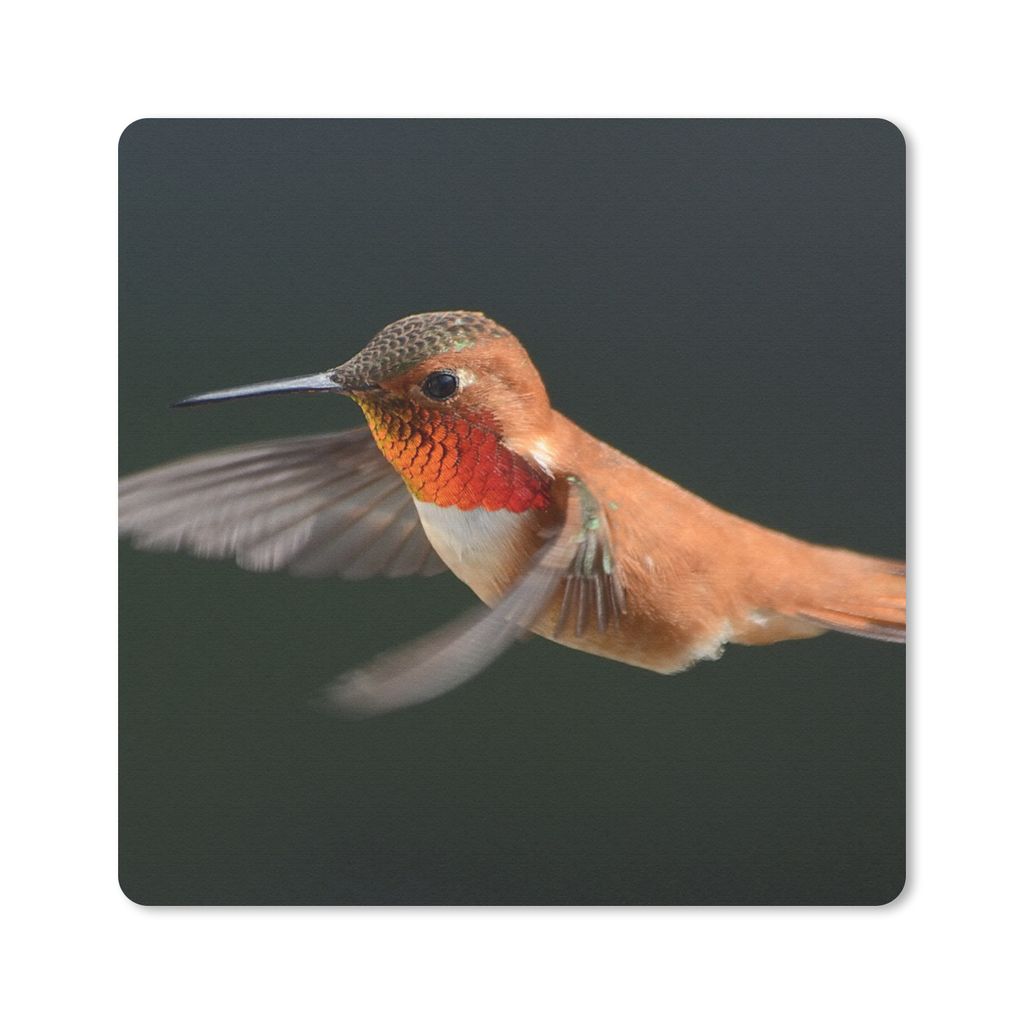 MuchoWow Mauspad Mousepad Kolibri - Federn - Schwarz 30x30 cm - Mousepads - Maus Mat - Pad - Mausunterlage