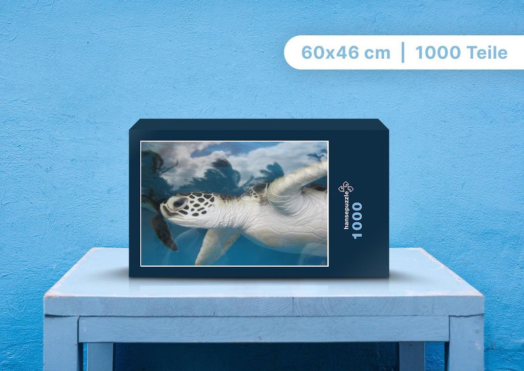 hansepuzzle 103369 - Schildkröte Puzzle, 1000 Teile, Tierwelt, 60,0 x 46,0cm mit hochwertiger Aufbewahrung, Kartonbox & Beutel