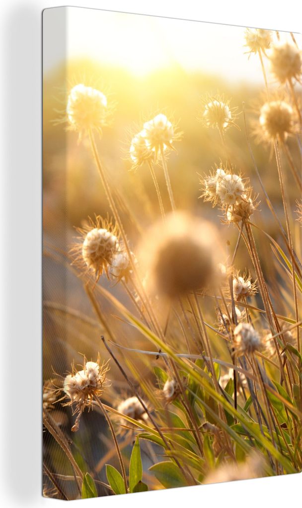 OneMillionCanvasses - Leinwandbilder - 90x140 cm, Pflanzen - Natur - Blumen - Sonne - Horizont, Wandbilder Kunstdruck Wanddekoration - Foto auf L...