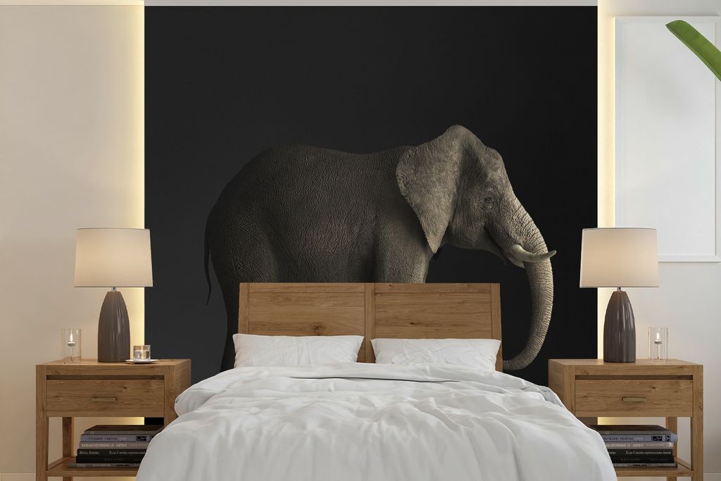 MuchoWow Fototapete für Wohnzimmer oder Schlafzimmer Wandtapete Vinyl Motivtapete Elefant - Tiere - Licht - 350x350 cm