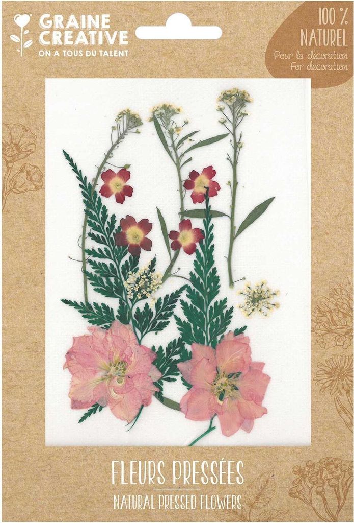 13 fleurs pressées - prairie rouge Image du produit 