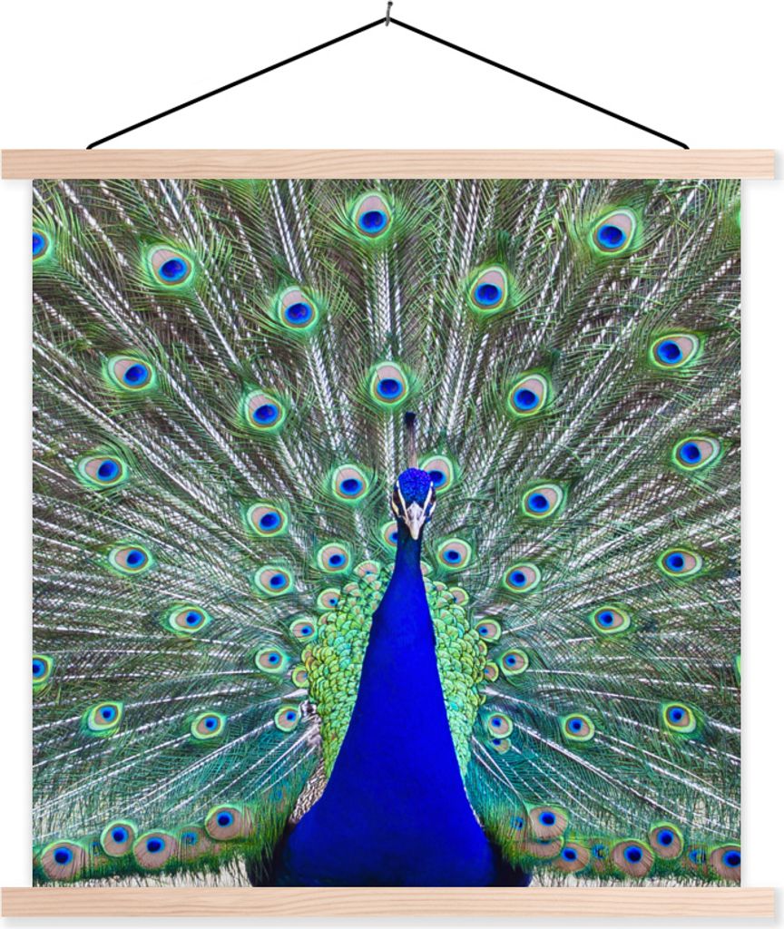 MuchoWow Textilposter Pfau - Flügel - Schwanz 120x120 cm mit holzfarbenen Rahmen - Textil-Poster