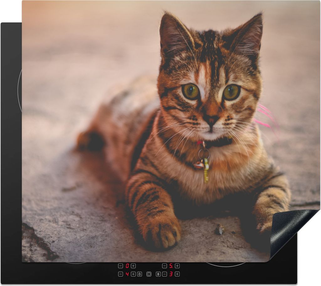 KitchenYeah Herdabdeckplatte Katze - Kleid - Halsband , 59x51cm, Küche Deko, Glaskeramikkochfeld Herdabdeckung, Abdeckplatte fùr Kochfeld