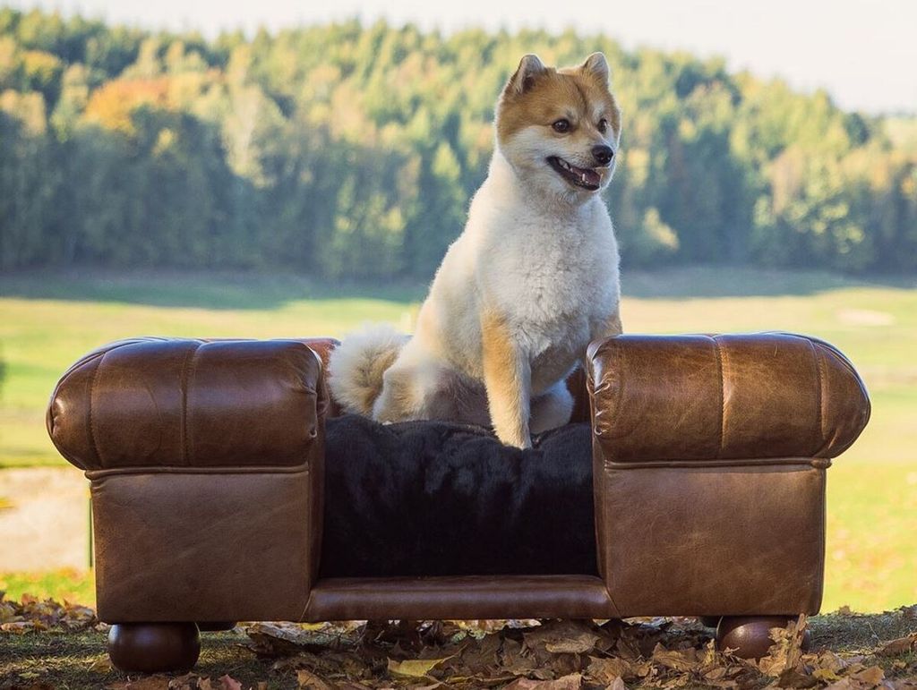 Casa Padrino Luxus Leder Hundebett Dunkelbraun / Schwarz 109 x 89 x H. 37 cm - Rechteckiges Echtleder Hundebett - Luxus Echtleder Tiermöbel