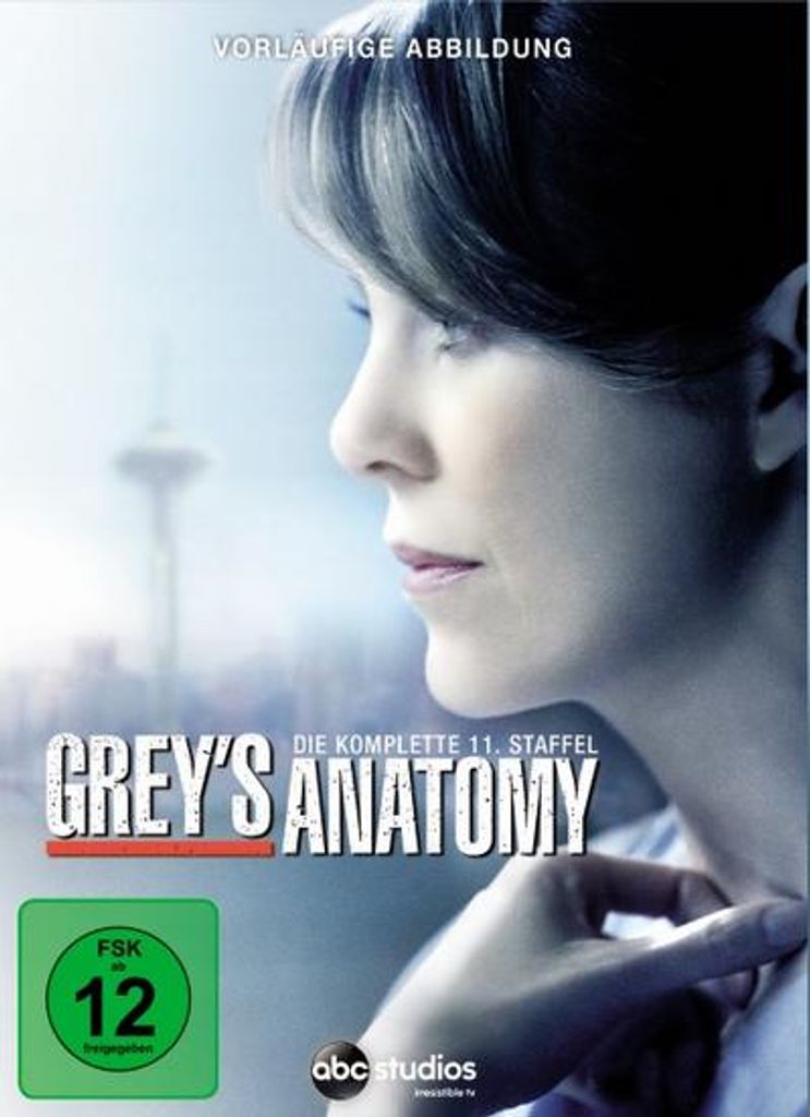 Grey's Anatomy - Season 11 Produktbild 