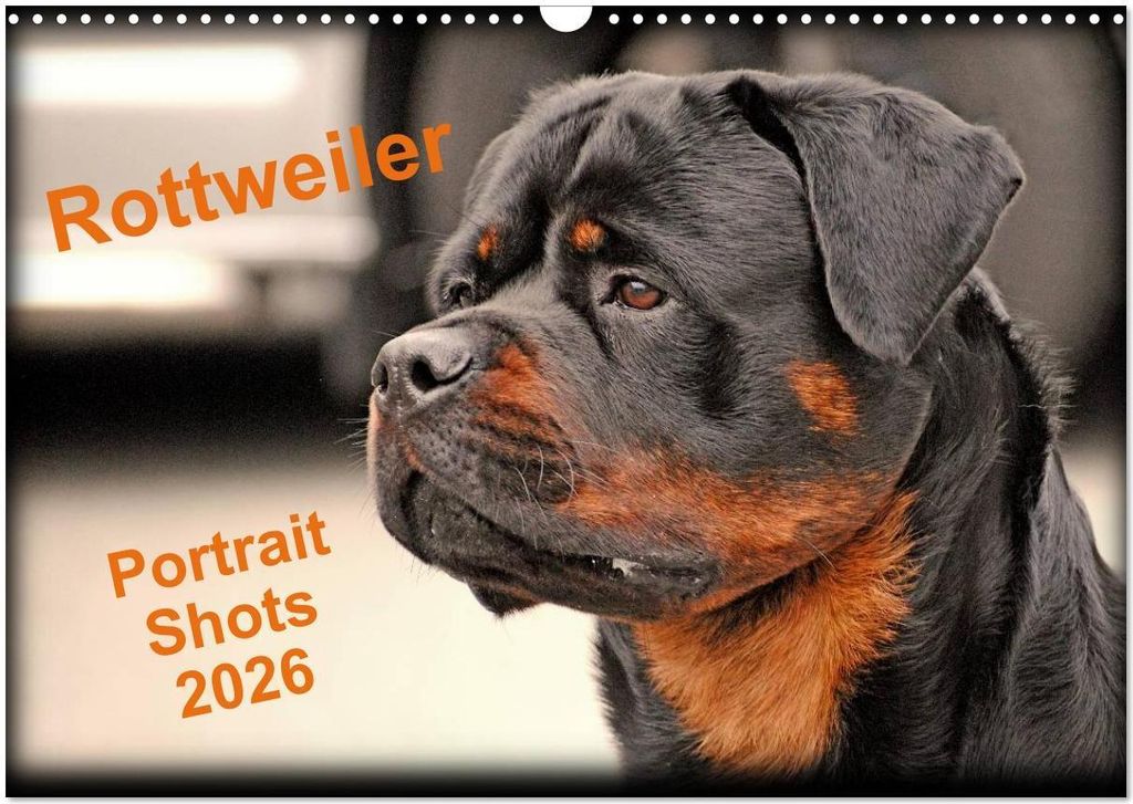Rottweiler Portait Shots 2026 (Wall Calendar 2026 DIN A3 landscape), CALVENDO 12 Month Wall Calendar