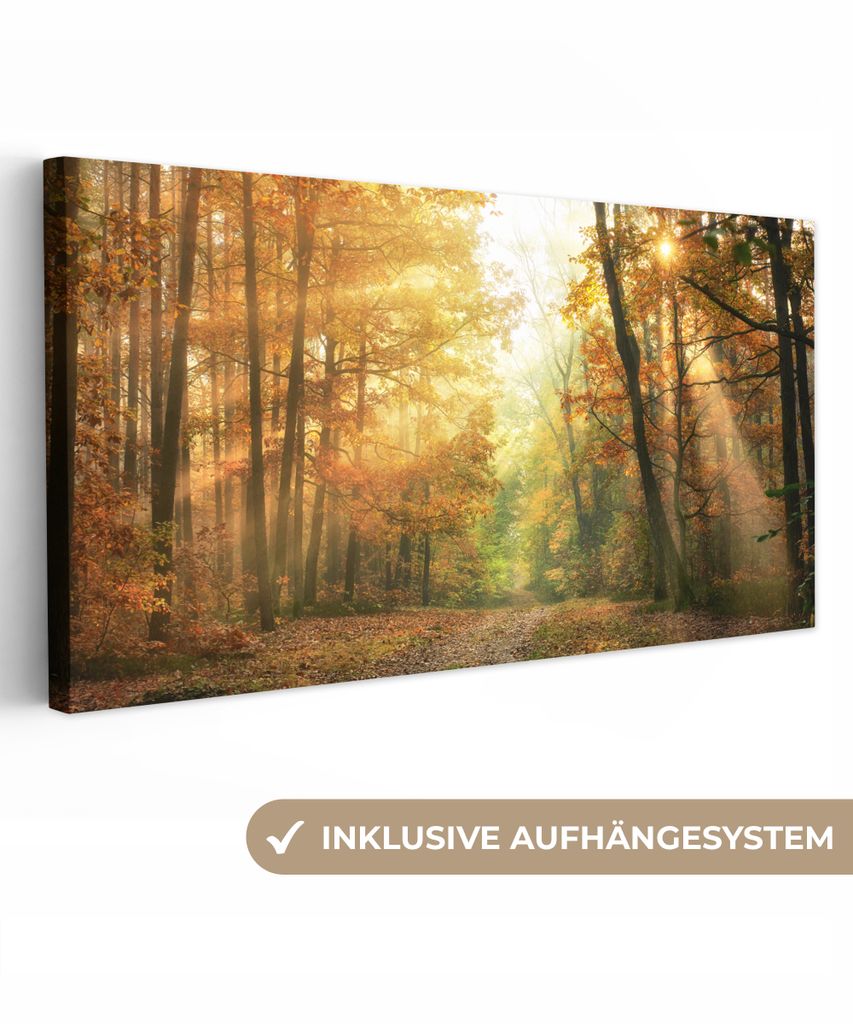 MuchoWow - Leinwandbilder - Wald - Herbst - Sonne - Landschaft - Natur - Bäume - Laub, Wandbild, Wanddeko Bilder Wohnzimmer, 40x20 cm