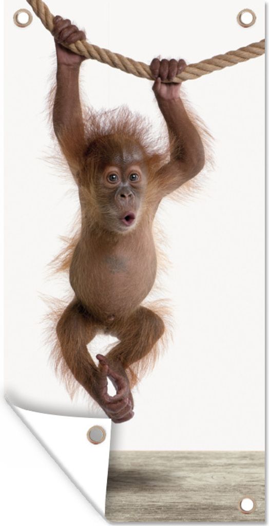 MuchoWow 30x60 cm Outdoor-Poster Gartendeko Sichtschutz Garten Poster für den Garten Affe - Tiere - Kinder - Orang Utan - Jungen - Mädchen