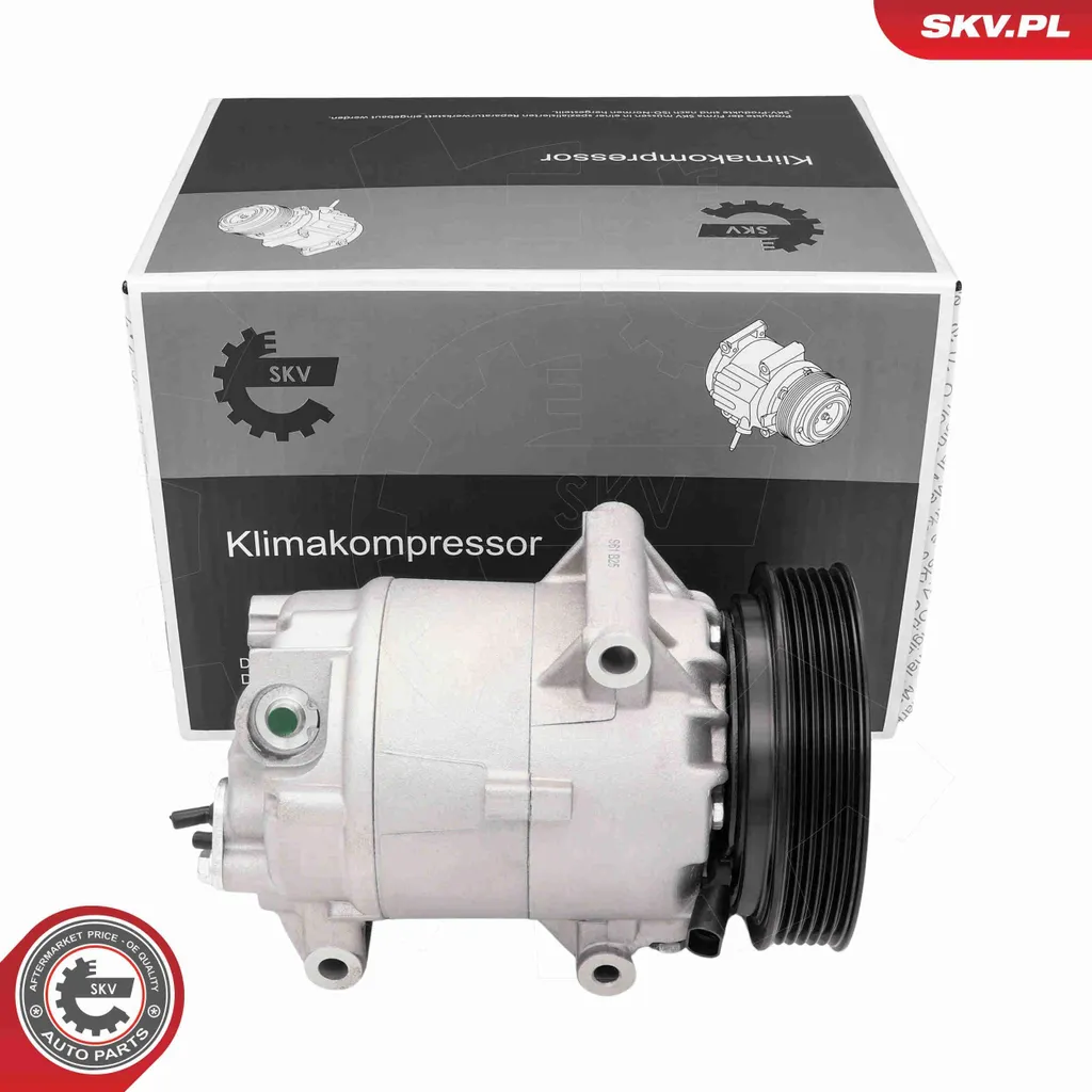 Compresseur de clim PAG 46 compatible avec Renault Mégane II et Scénic